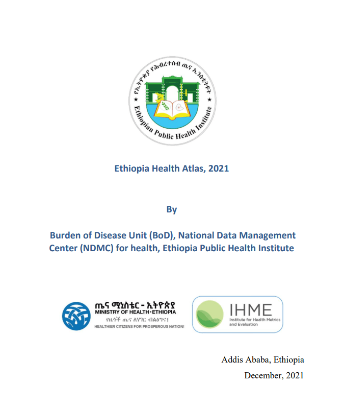 Regional Health Atlas for Ethiopia, brief summary of burden of disease analysis