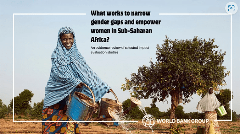 What Works to Narrow Gender Gaps and Empower Women in Sub-Saharan Africa?